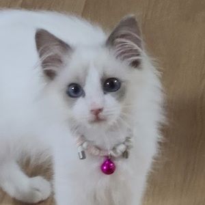 Meet your Posher, Jay hugh